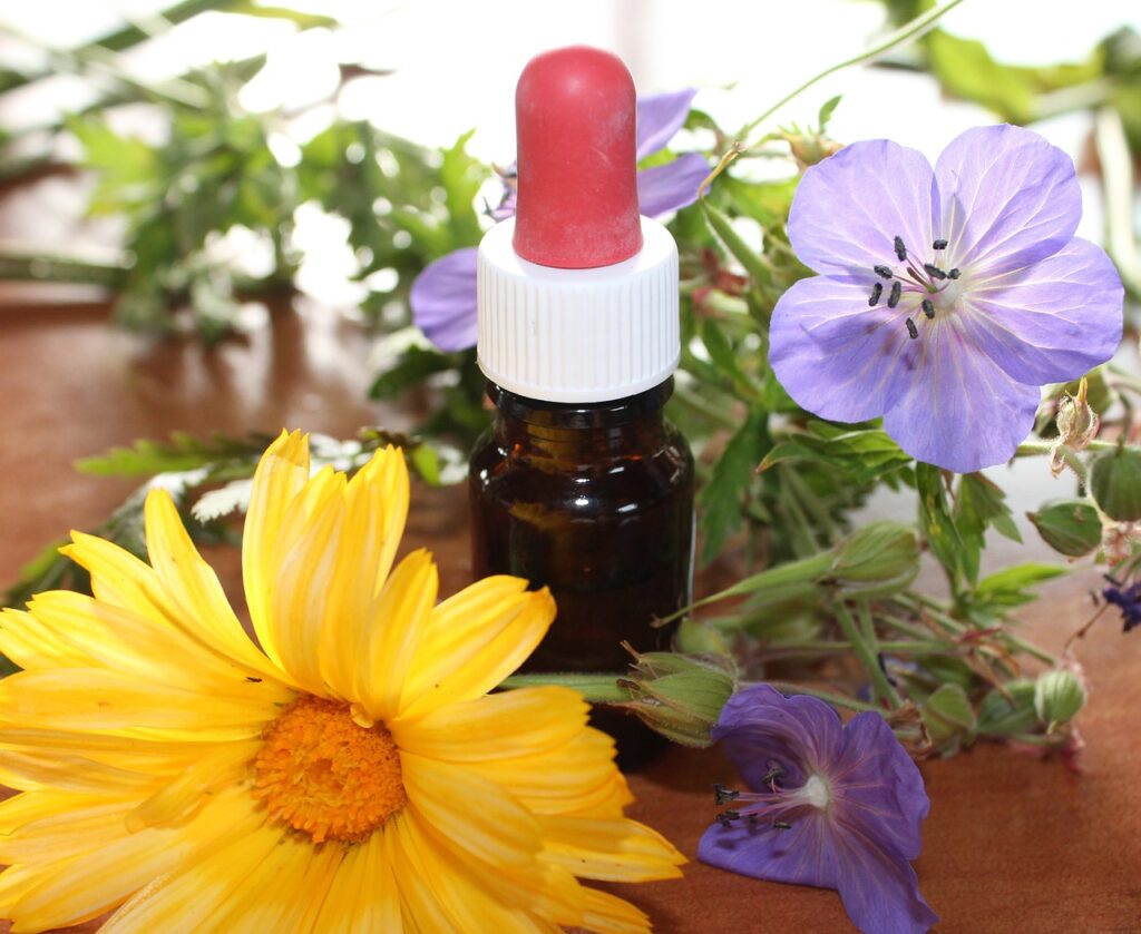 praktische homöopathie
